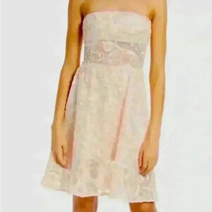 NWOT $268 SHO By Tadashi Sho Women's Pink Embroidered Fit & Flare Dress Size 12